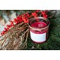 přírodní aroma svíčka, vánoční punč, rumové aroma, červená